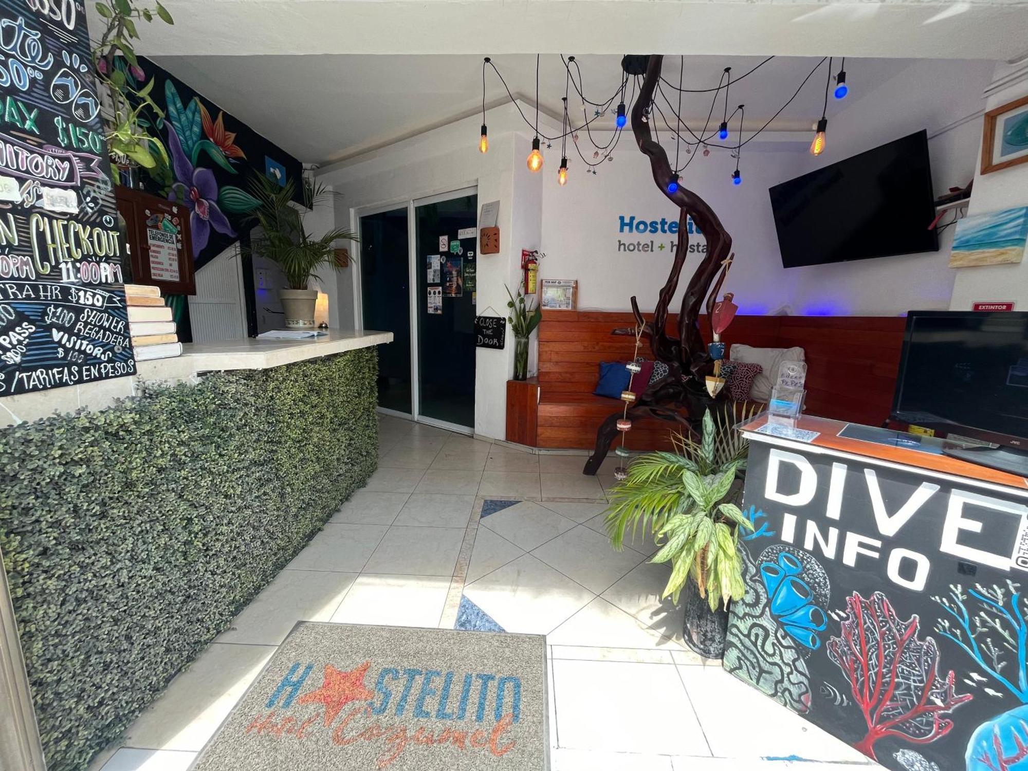 Hostelito Hotel コスメル エクステリア 写真