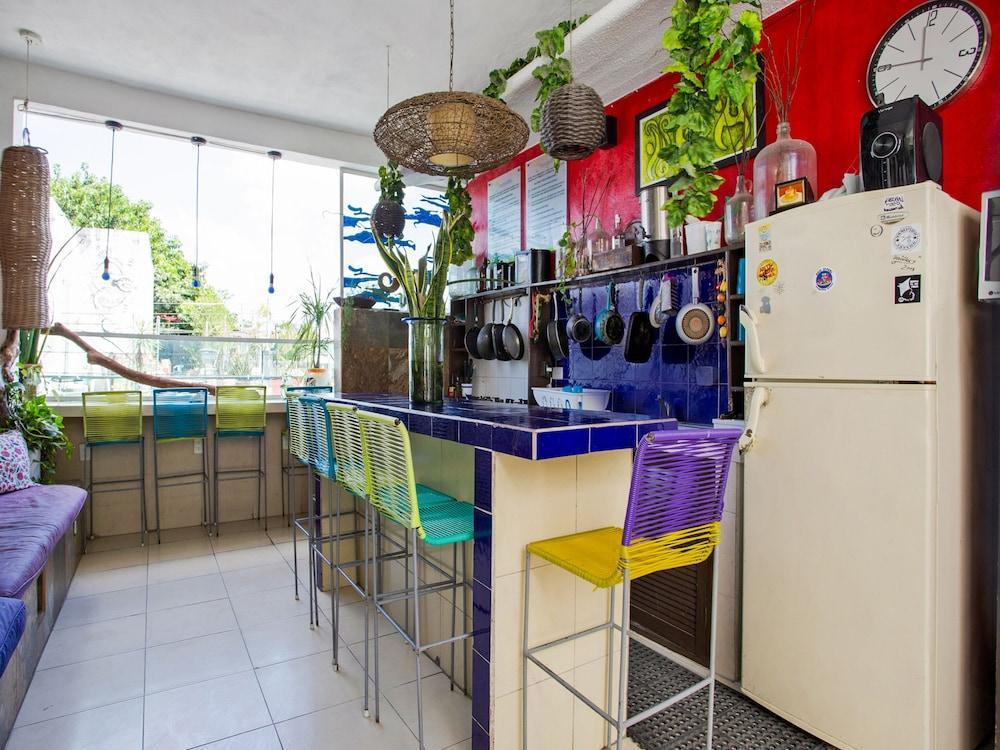 Hostelito Hotel コスメル エクステリア 写真